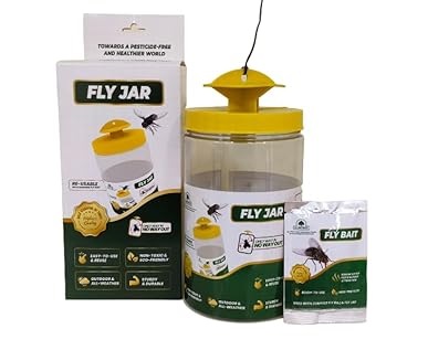 fly catcher